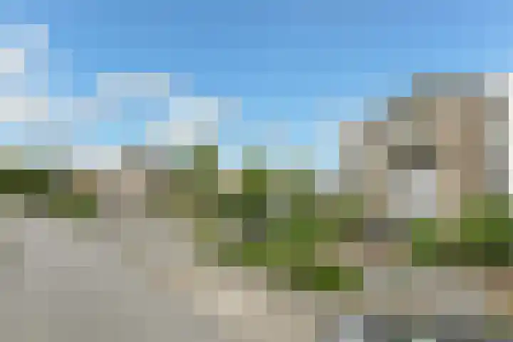 Caro van Eijcklaan 9 Elst thumbnail 34