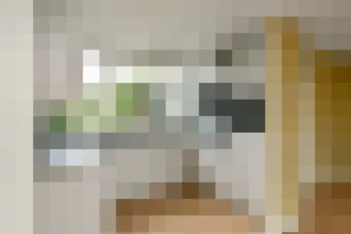 Caro van Eijcklaan 9 Elst thumbnail 5