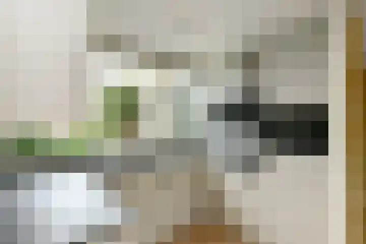 Caro van Eijcklaan 9 Elst thumbnail 6