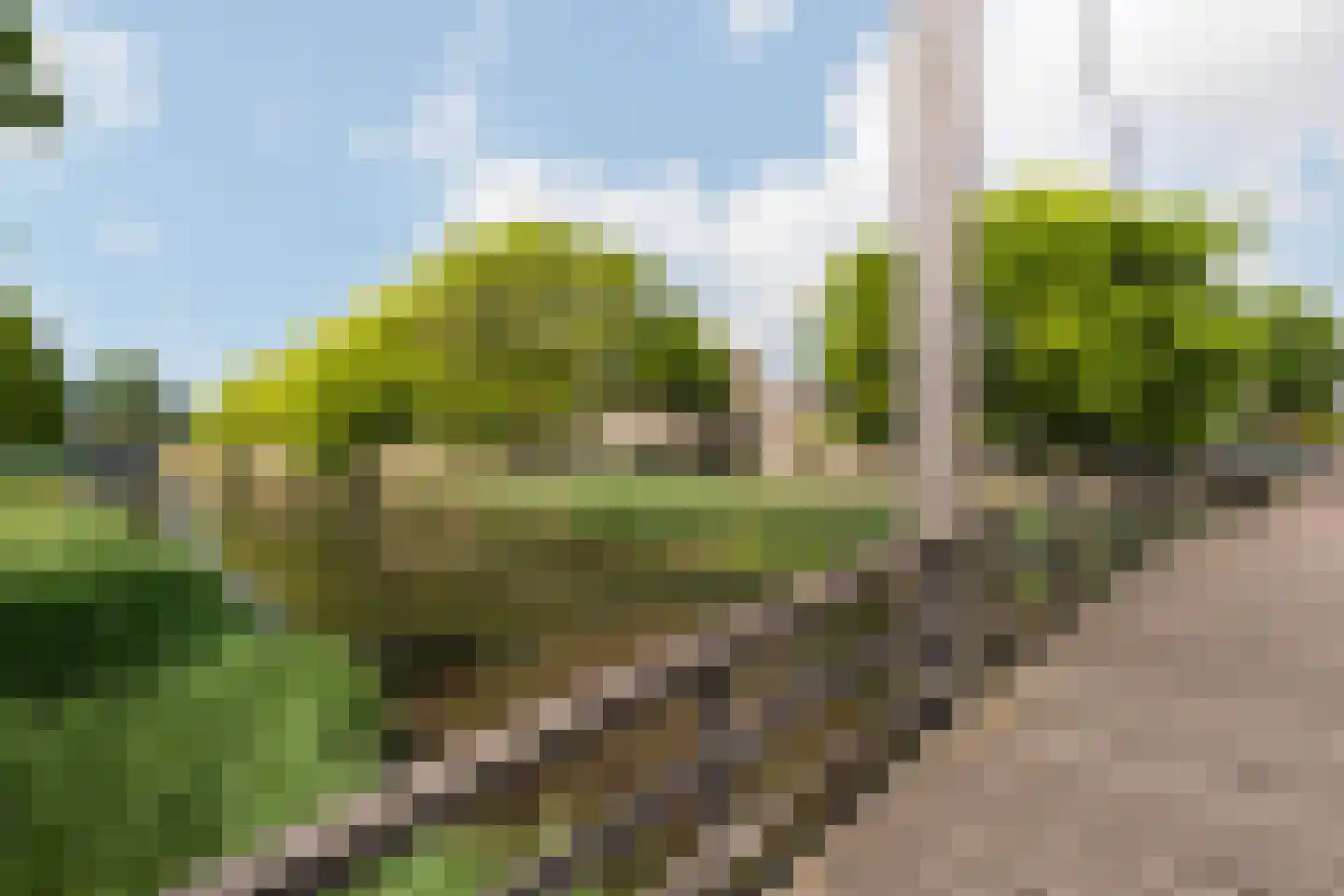 Caro van Eycklaan 7 Pijnacker thumbnail 40