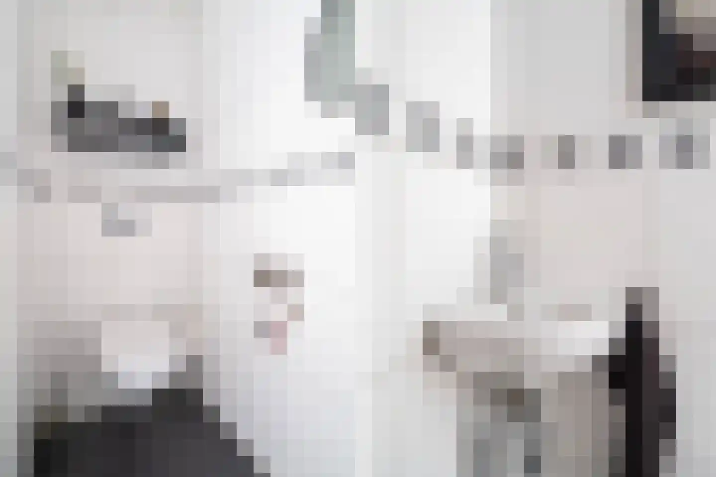 Caro van Eycklaan 7 Pijnacker thumbnail 7