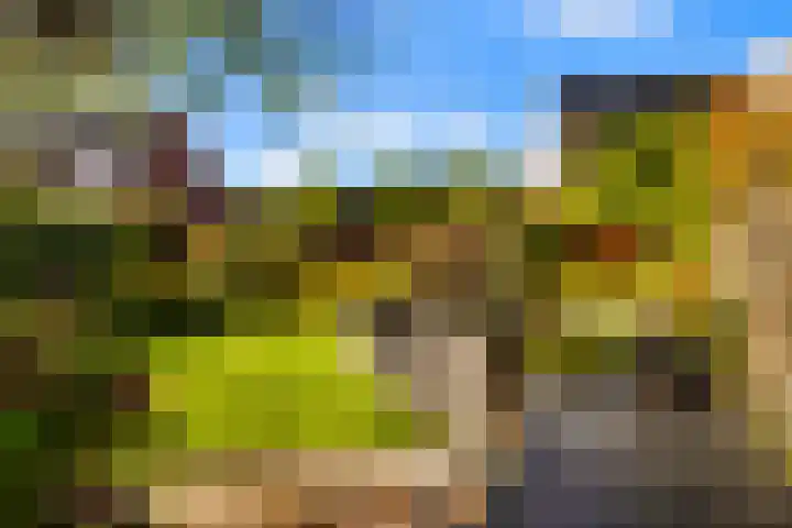 Caro van Eycksingel 13 Hoofddorp thumbnail 31