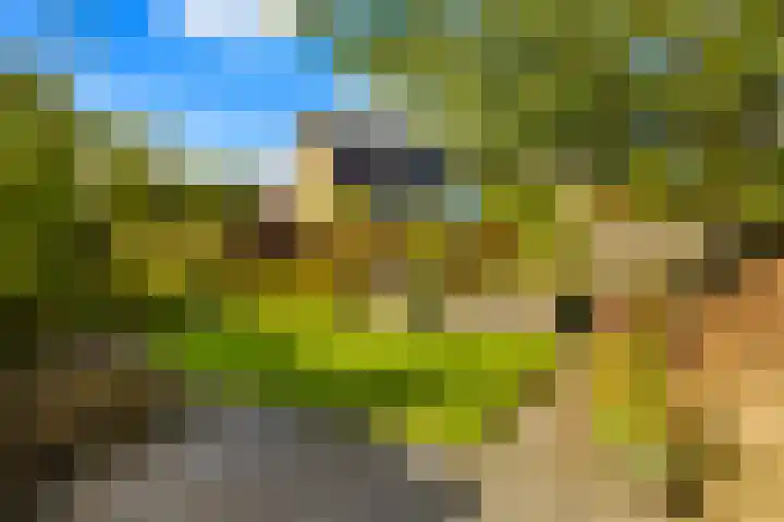 Caro van Eycksingel 13 Hoofddorp thumbnail 32