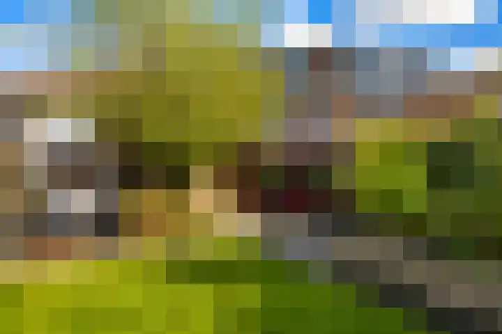 Caro van Eycksingel 13 Hoofddorp thumbnail 34