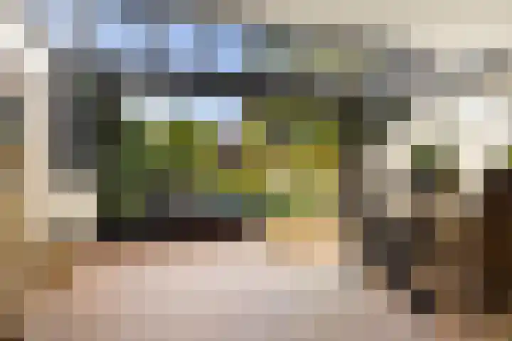 Caro van Eycksingel 13 Hoofddorp thumbnail 6