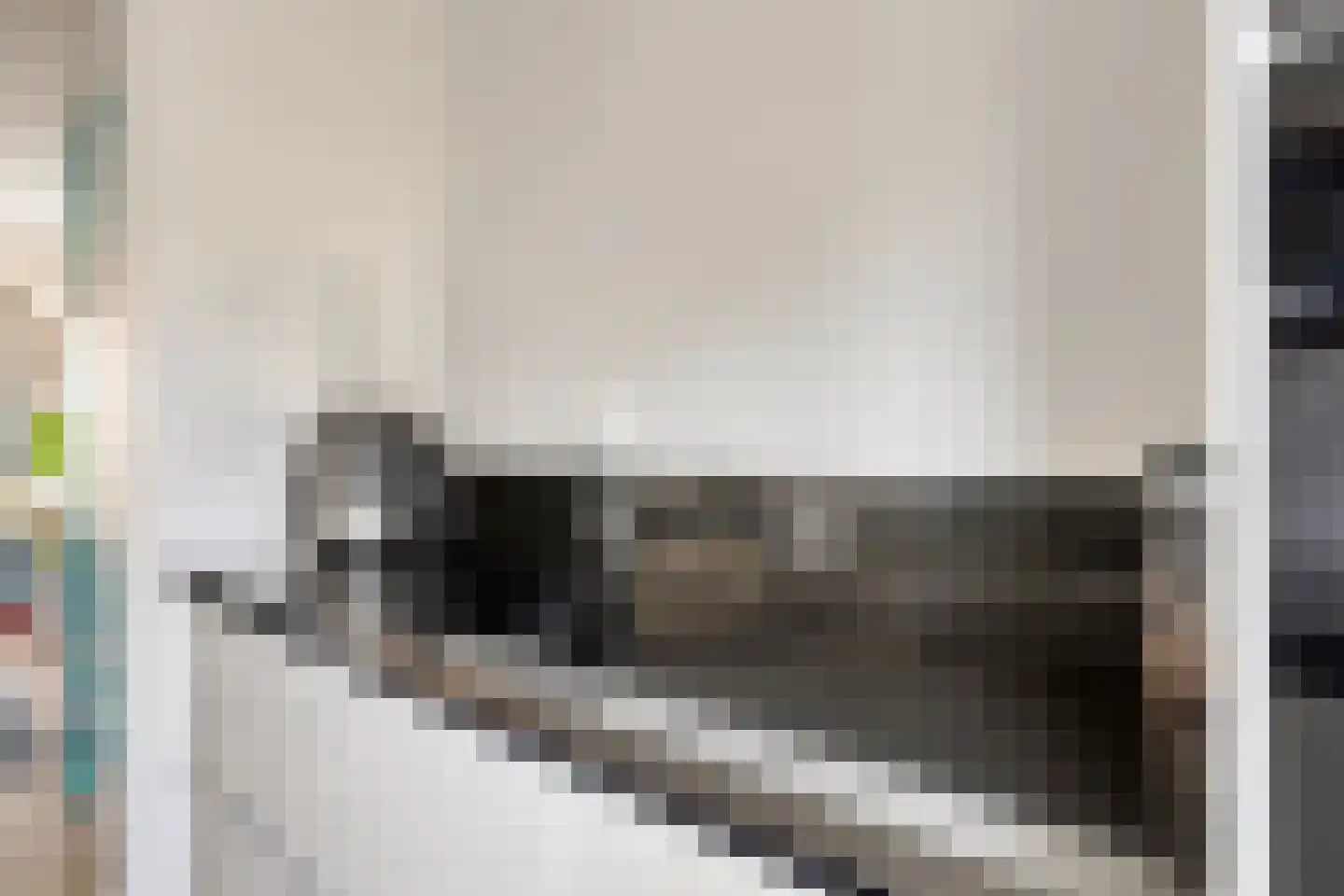 Caro van Eyckstraat 11 Berkel en Rodenrijs thumbnail 13