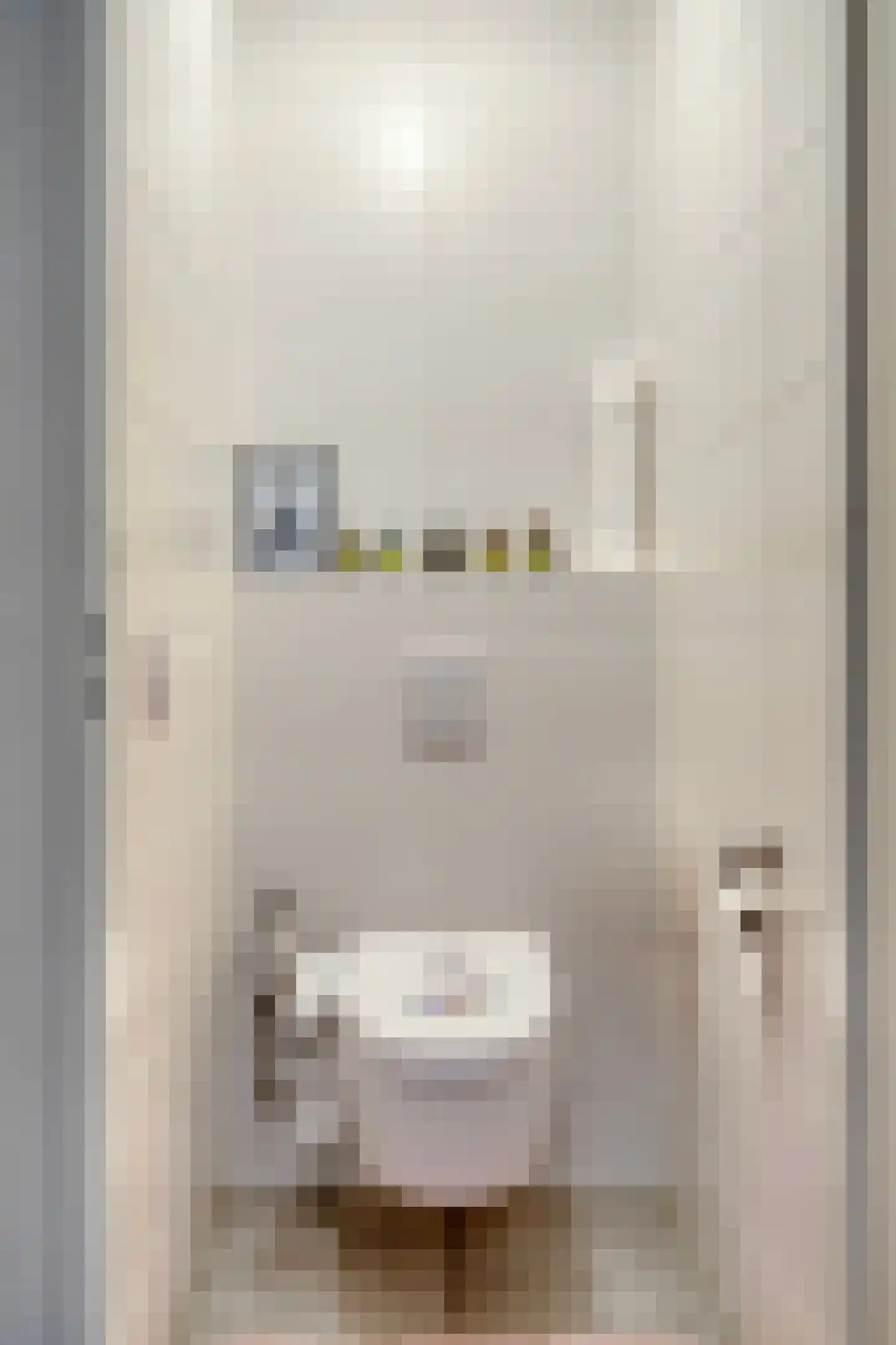 Caro van Eyckstraat 11 Berkel en Rodenrijs thumbnail 14