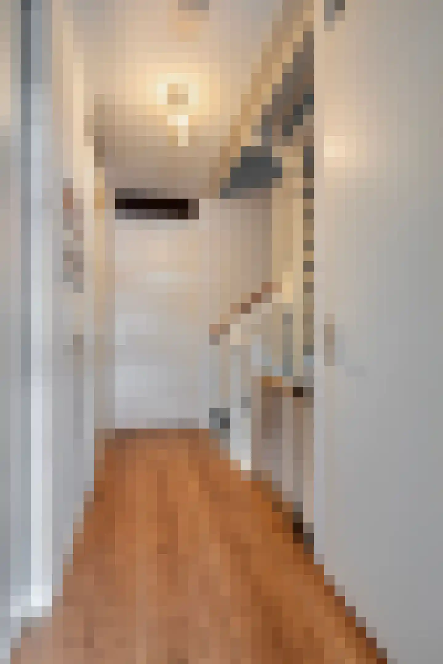 Caro van Eyckstraat 11 Berkel en Rodenrijs thumbnail 15