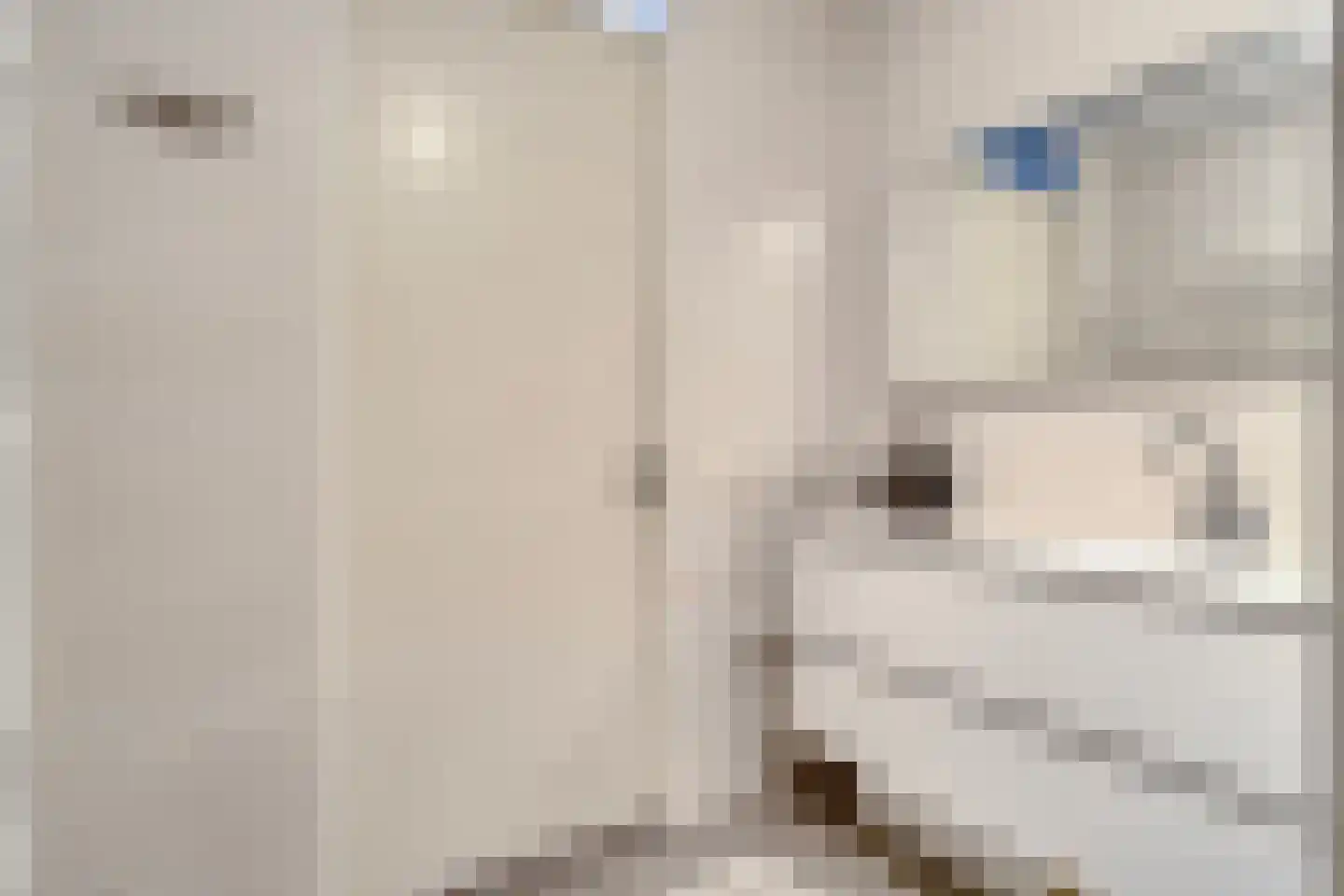 Caro van Eyckstraat 11 Berkel en Rodenrijs thumbnail 22