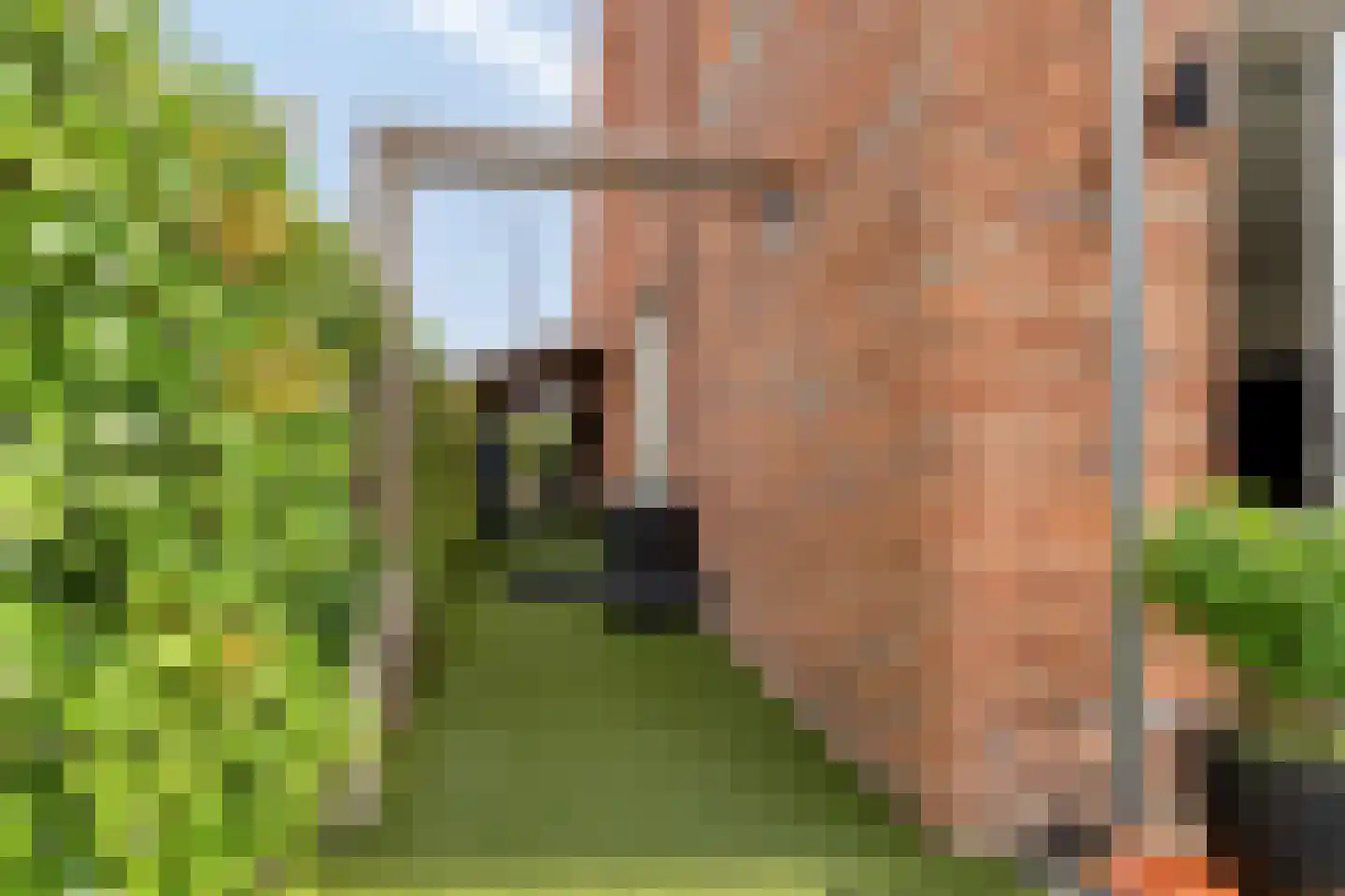 Caro van Eyckstraat 11 Berkel en Rodenrijs thumbnail 38