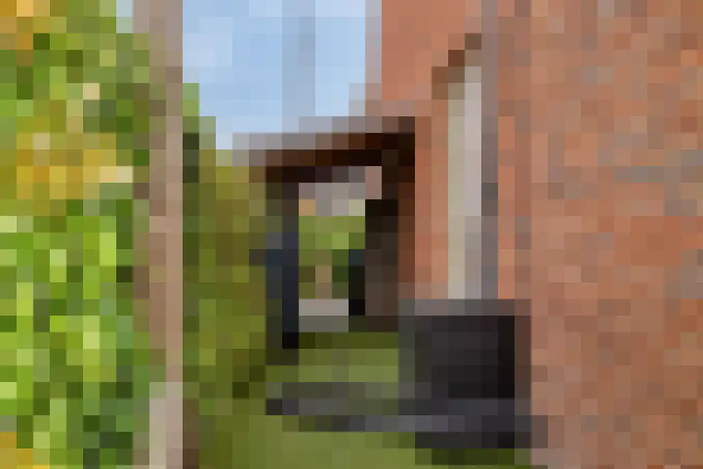 Caro van Eyckstraat 11 Berkel en Rodenrijs thumbnail 39