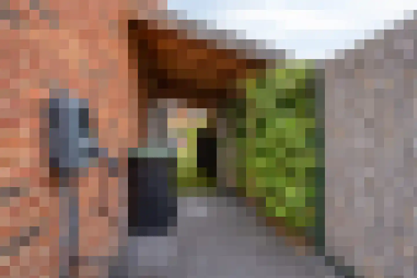 Caro van Eyckstraat 11 Berkel en Rodenrijs thumbnail 40