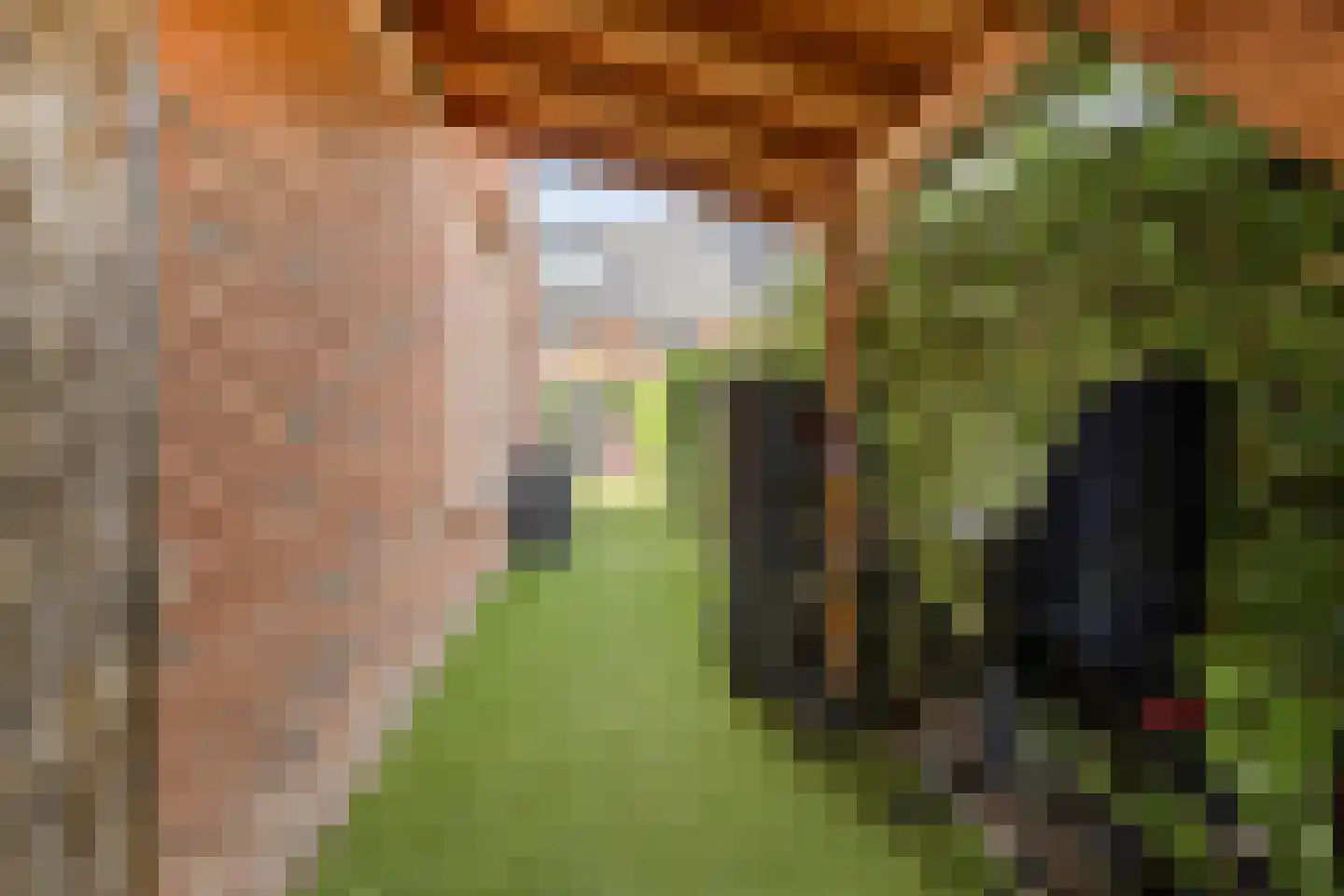 Caro van Eyckstraat 11 Berkel en Rodenrijs thumbnail 41