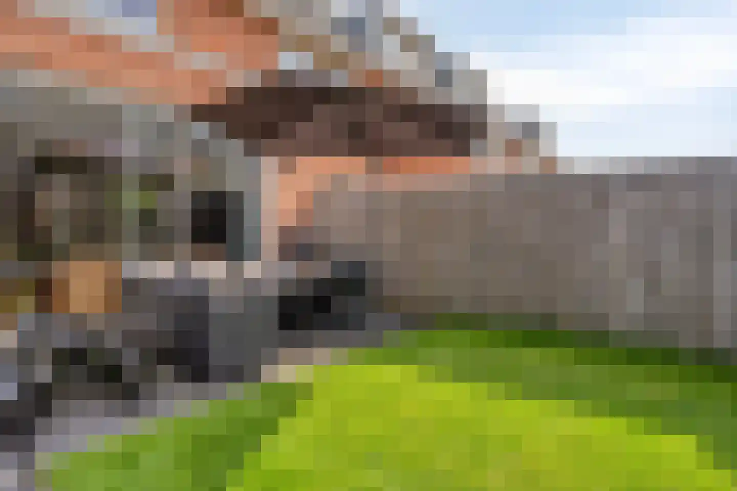 Caro van Eyckstraat 11 Berkel en Rodenrijs thumbnail 42