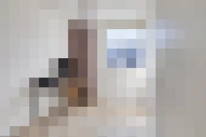Caro van Eyckstraat 14 Berkel en Rodenrijs thumbnail 19