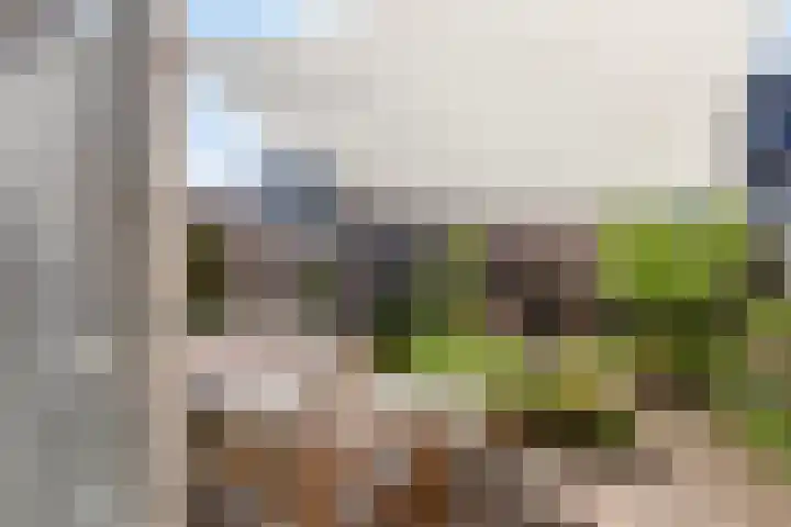 Caro van Eyckstraat 14 Berkel en Rodenrijs thumbnail 27