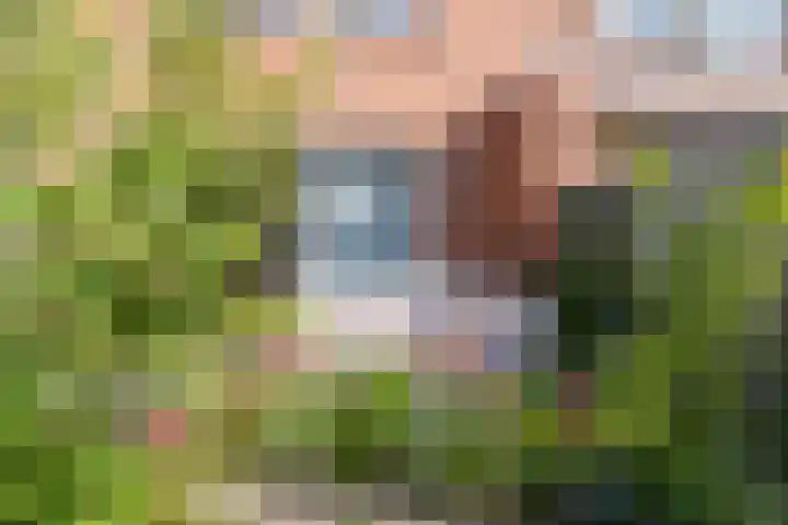 Caro van Eyckstraat 14 Berkel en Rodenrijs thumbnail 30