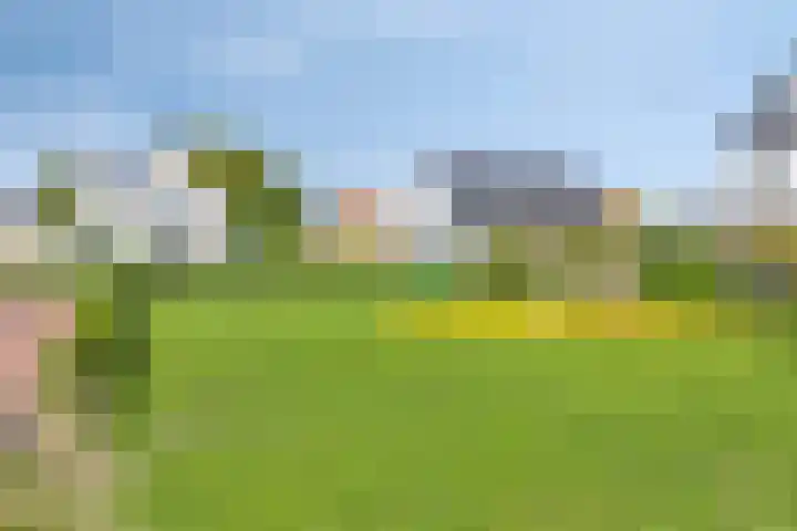 Caro van Eyckstraat 14 Berkel en Rodenrijs thumbnail 33