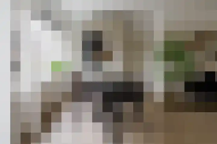 Caro van Eyckstraat 15 Hengelo thumbnail 11
