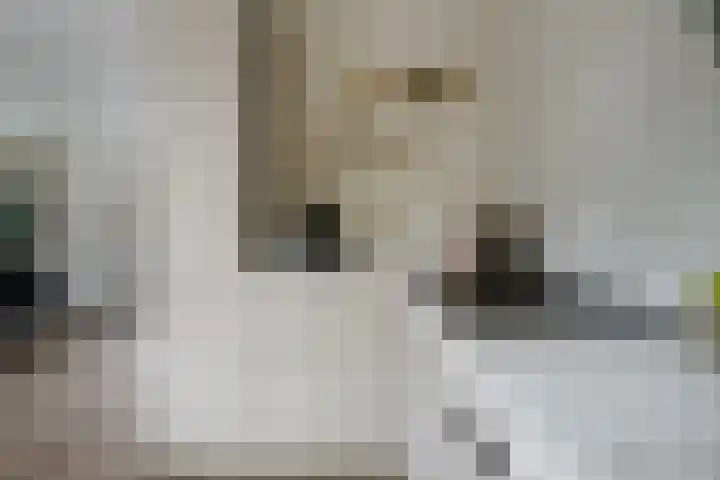 Caro van Eyckstraat 15 Hengelo thumbnail 13