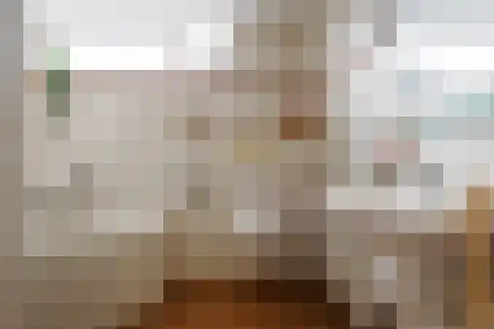 Caro van Eyckstraat 15 Hengelo thumbnail 15