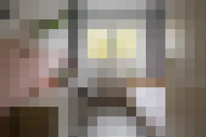 Caro van Eyckstraat 15 Hengelo thumbnail 23