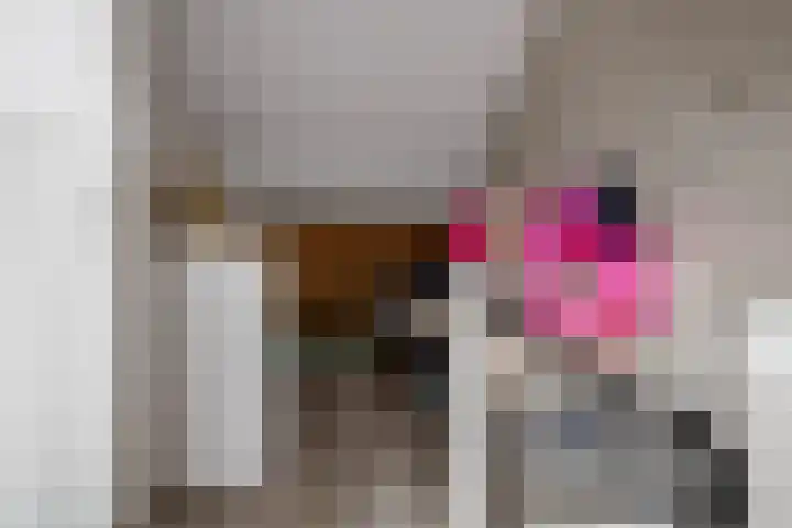 Caro van Eyckstraat 15 Hengelo thumbnail 26
