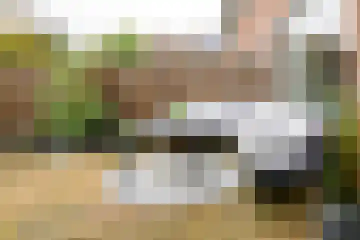 Caro van Eyckstraat 15 Hengelo thumbnail 31