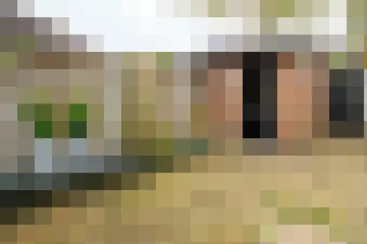 Caro van Eyckstraat 15 Hengelo thumbnail 34