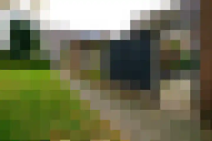 Caro van Eyckstraat 15 Hengelo thumbnail 36
