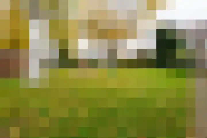 Caro van Eyckstraat 15 Hengelo thumbnail 37