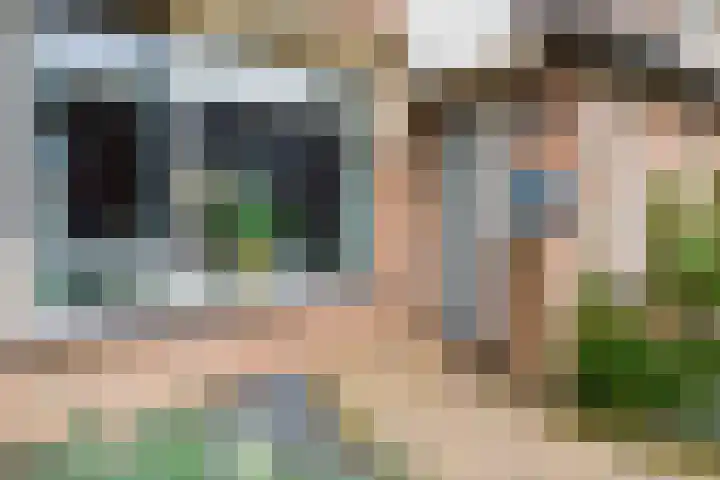 Caro van Eyckstraat 15 Hengelo thumbnail 38