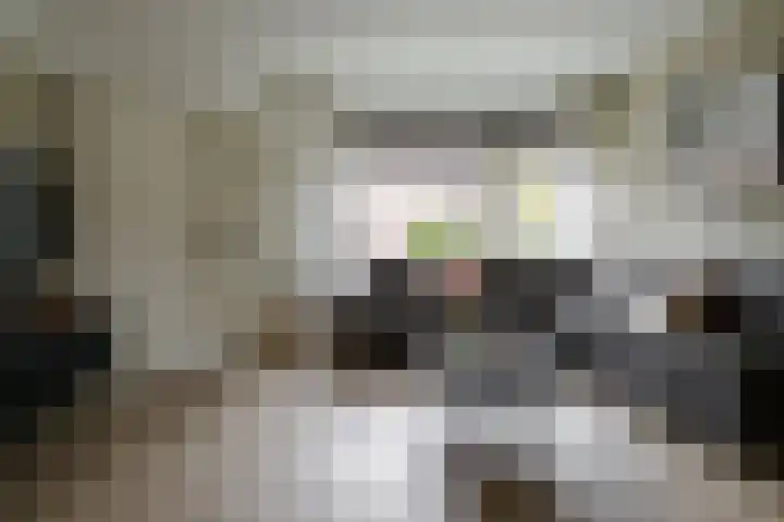 Caro van Eyckstraat 15 Hengelo thumbnail 4