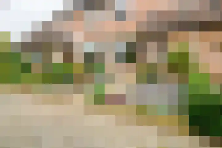 Caro van Eyckstraat 15 Hengelo thumbnail 40