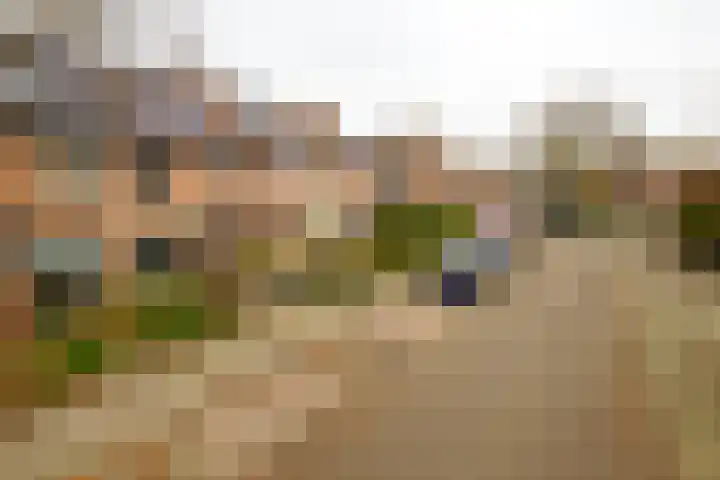 Caro van Eyckstraat 15 Hengelo thumbnail 41