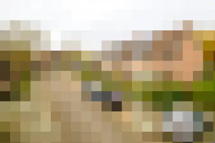 Caro van Eyckstraat 15 Hengelo thumbnail 42