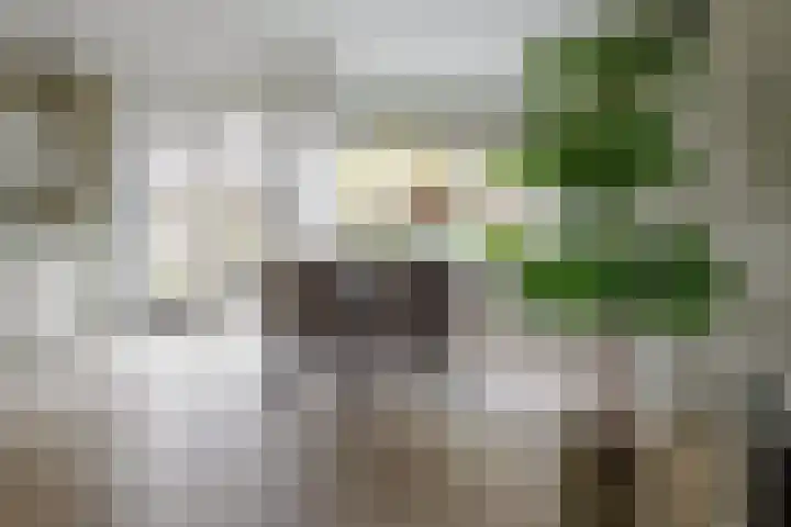 Caro van Eyckstraat 15 Hengelo thumbnail 8