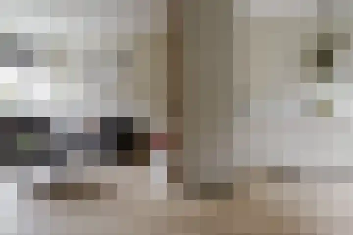 Caro van Eyckstraat 15 Hengelo thumbnail 9