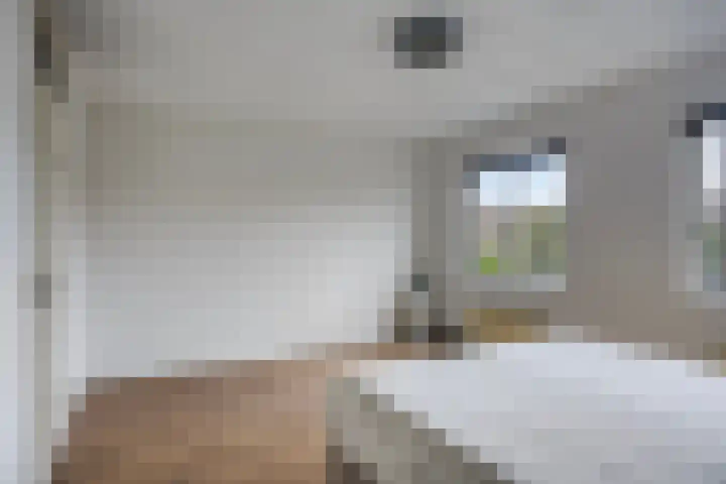 Caro van Eyckstraat 24 Zaandam thumbnail 18