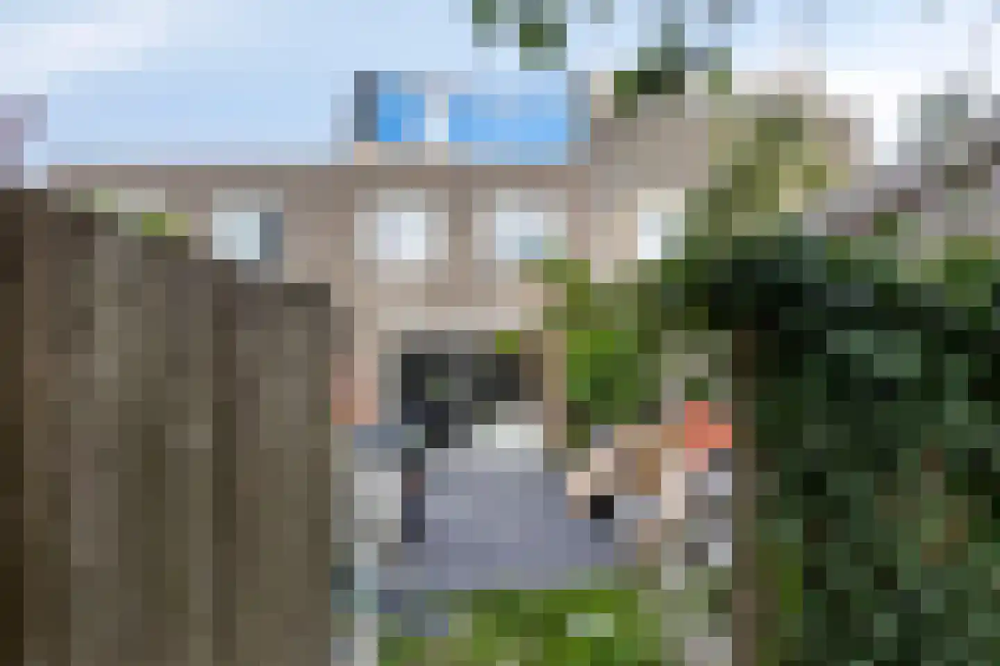 Caro van Eyckstraat 24 Zaandam thumbnail 40