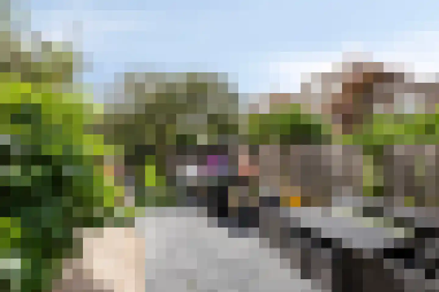 Caro van Eyckstraat 24 Zaandam thumbnail 7
