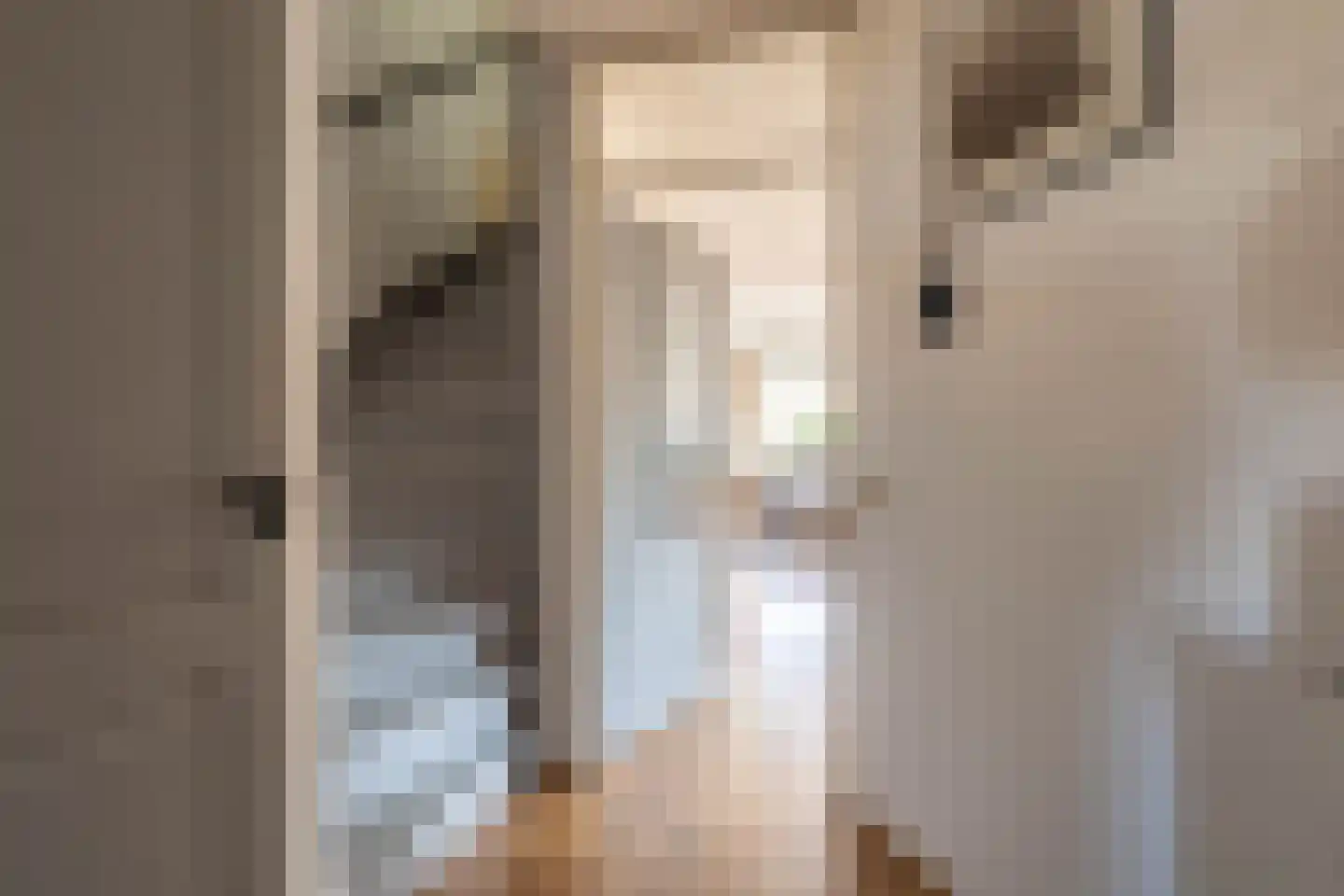 Caro van Eyckstraat 25 Zaandam thumbnail 20