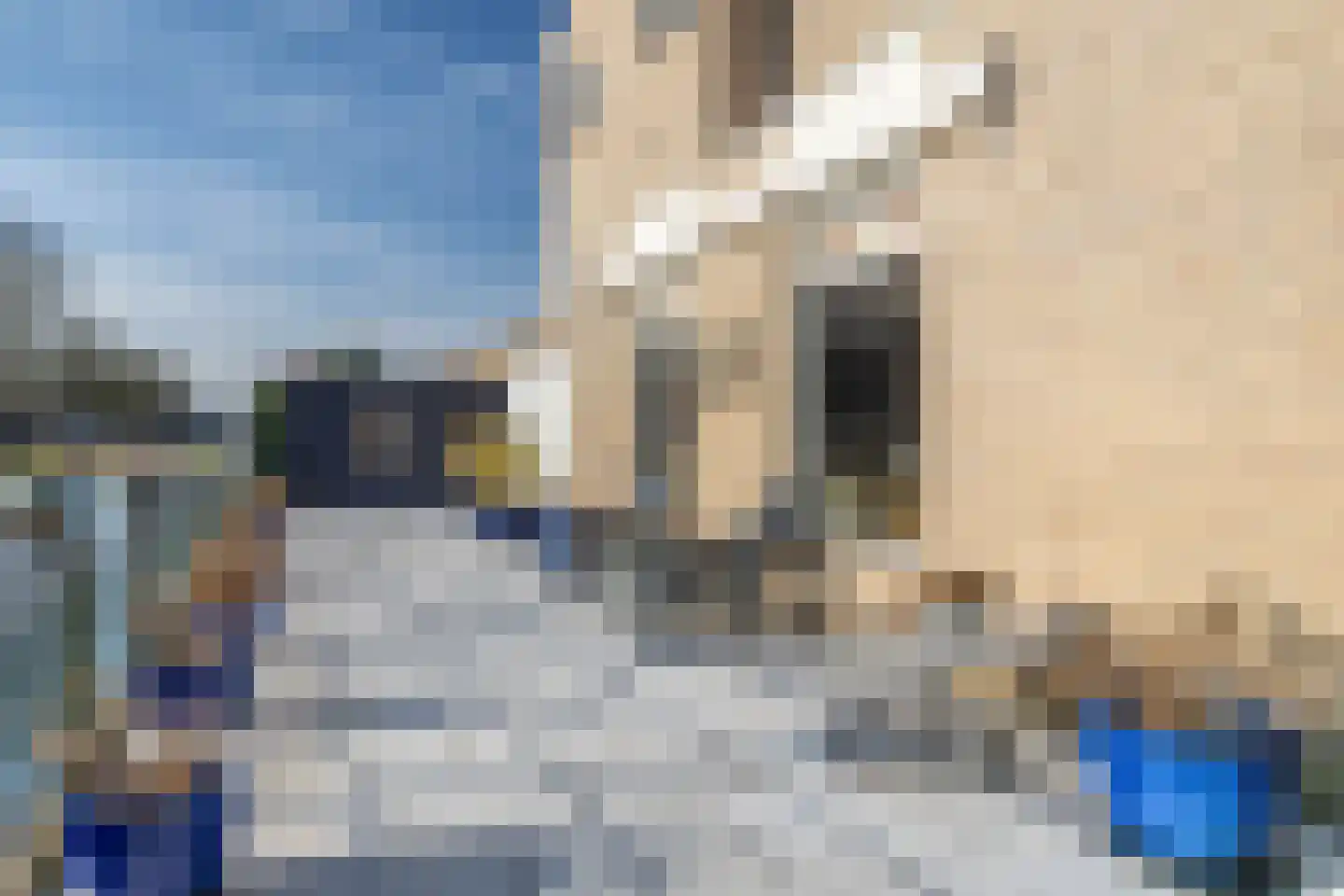 Caro van Eyckstraat 25 Zaandam thumbnail 30