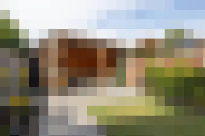 Caro van Eyckstraat 45 Hengelo thumbnail 27