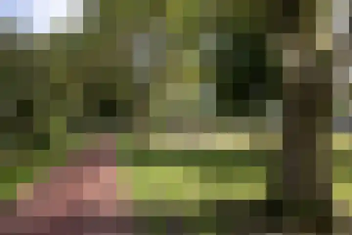 Caro van Eyckstraat 45 Hengelo thumbnail 32