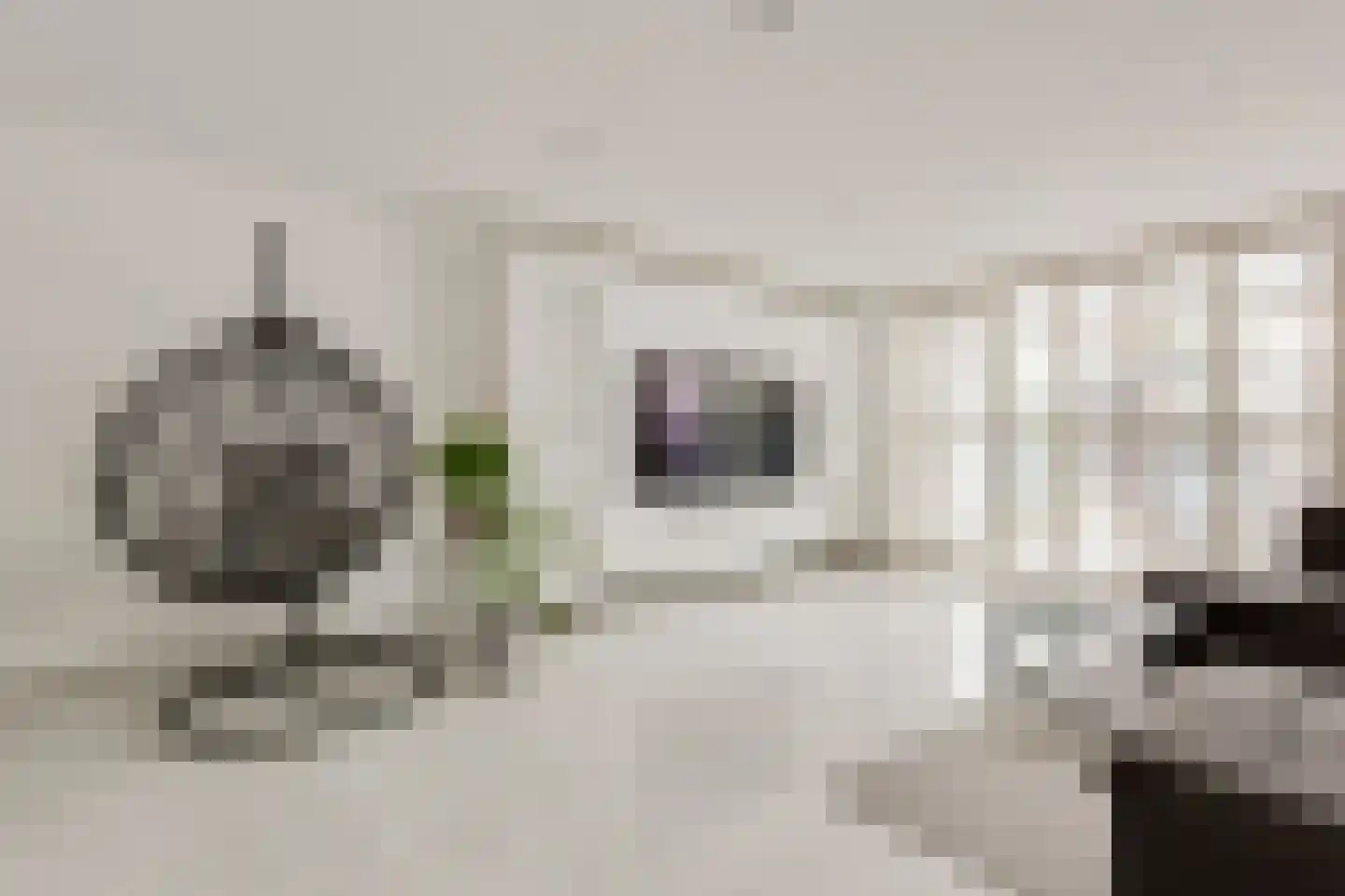 Caro van Eyckstraat 5 Berkel en Rodenrijs thumbnail 13