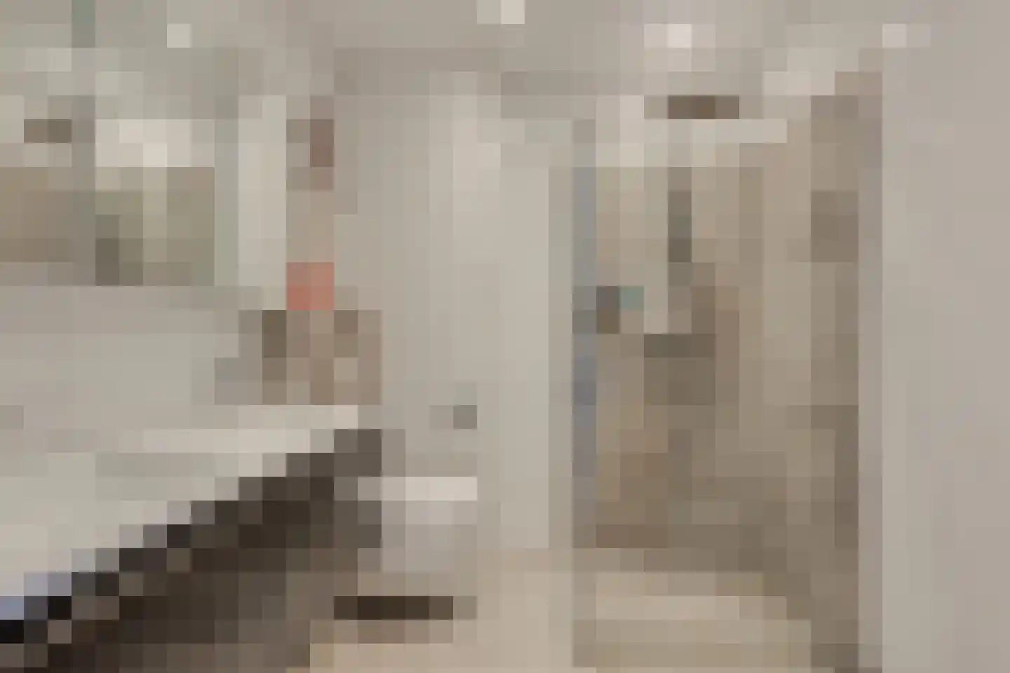Caro van Eyckstraat 5 Berkel en Rodenrijs thumbnail 35
