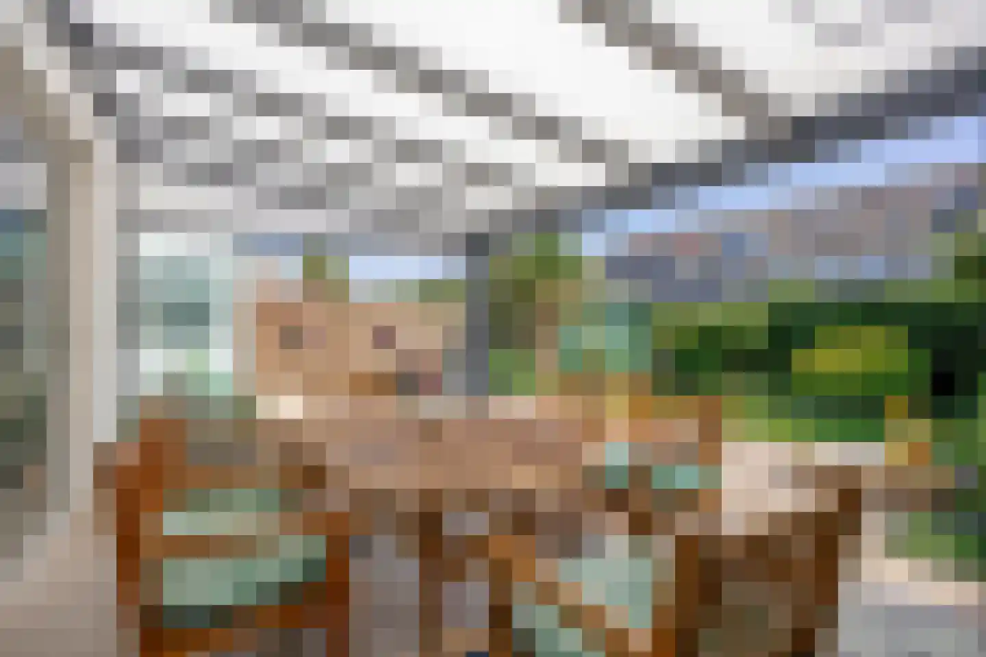 Caro van Eyckstraat 85 Zaandam thumbnail 42