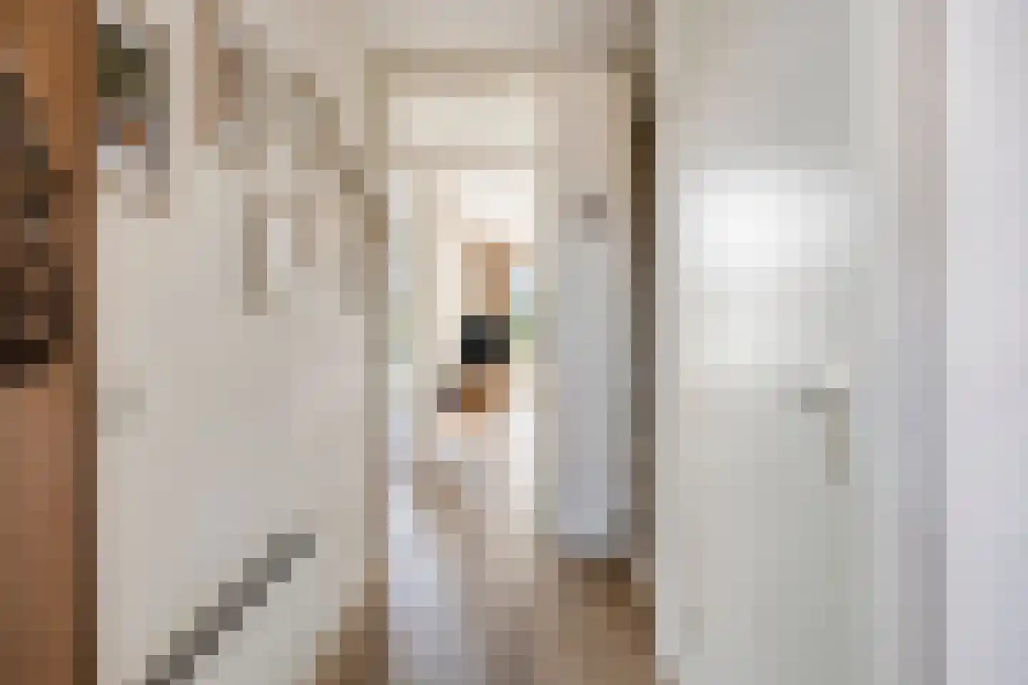 Caro van Eyckstraat 85 Zaandam thumbnail 8
