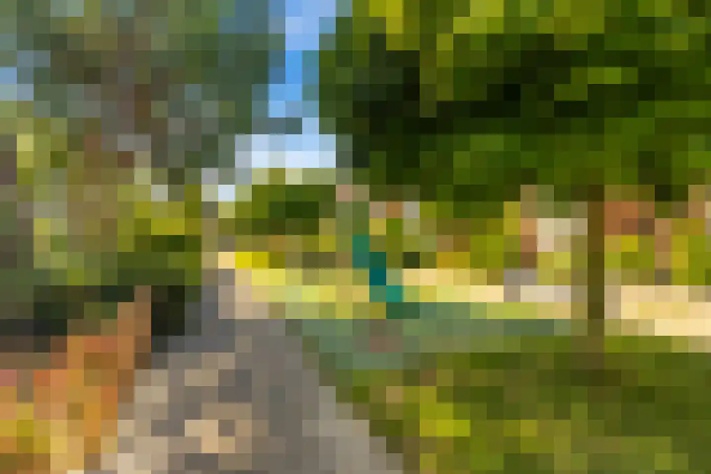 Caro van Eycktuin 14 Heerhugowaard thumbnail 28